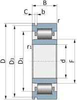 NU 208 ECNP