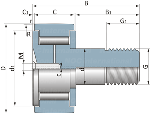 CFH 10 VR